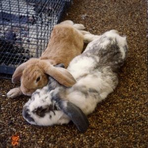 Lots of love ❤️ ❤️❤️❤️🌈🌈